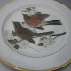 hutschenreuther duży 26,5 cm kolekcjonerski użytkowy talerz porcelanowy