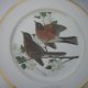 hutschenreuther duży 26,5 cm kolekcjonerski użytkowy talerz porcelanowy