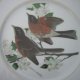 hutschenreuther duży 26,5 cm kolekcjonerski użytkowy talerz porcelanowy