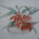 EUCALYPTUS by PHILIPPA NIKULINSKY -THE AUSTRALIAN WILDFLOWER COLLECTION -porcelanowy, użytkowy, dekoracyjny. ..