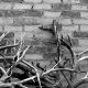 Fotografia artystyczna 23f