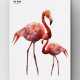 Flamingi