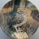 WEDGWOOD The Majesty of Owls - "little Owl" kolekcjonerski talerz porcelanowy