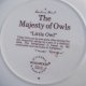 WEDGWOOD The Majesty of Owls - "little Owl" kolekcjonerski talerz porcelanowy