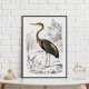Plakat VINTAGE PTAK - format 30x40 cm
