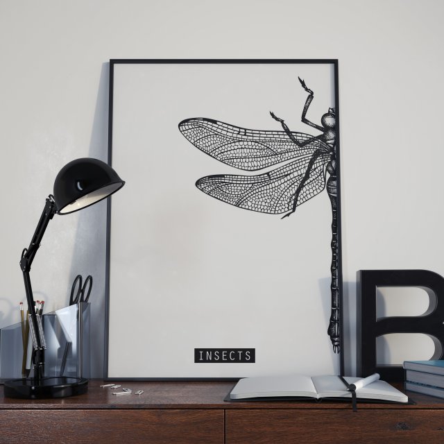 Plakat Ważka