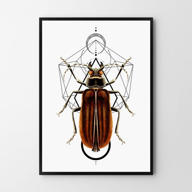 Plakat Geometria Robak - format 30x40 cm