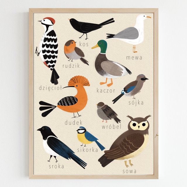 Plakat 30x40 Ptaki