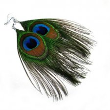 pawie