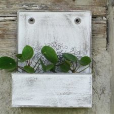Shabby Chic