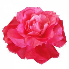 Rouzi