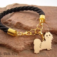 Shih Tzu 1- pies nr.15