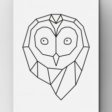 Owl life