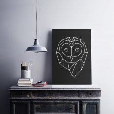 Owl life