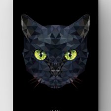 Kot BLACK A3