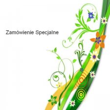 Zamówienie specjalne