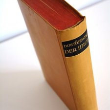 Książka Der Idiot