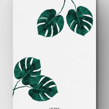 Monstera A4