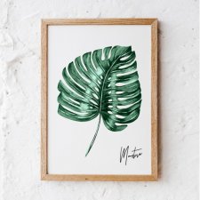 Plakat obraz monstera  30x40 cm