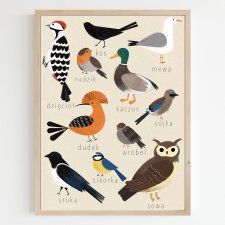 Plakat 30x40 Ptaki