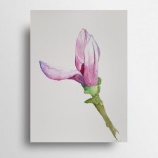 Magnolia III- obraz  akwarela
