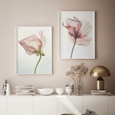 ZESTAW PLAKATÓW 2cz 50x70 cm Delikatne róże  (set200)