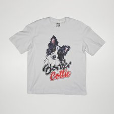 T-shirt - PIES BORDER COLLIE - unisex / large- BIAŁA