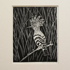 Dudek, ptak - oprawione passe-partout - Linoryt, ilustracja, grafika, obrazek, obraz, sztuka, plakat, dekoracje