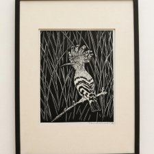 Dudek, ptak - oprawione passe-partout + ramka - Linoryt, ilustracja, grafika, obrazek, obraz, sztuka, plakat, dekoracje,
