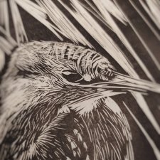 Zimorodek, ptak - oprawione passe-partout - Linoryt, ilustracja, grafika, obrazek, obraz, sztuka, plakat, dekoracje