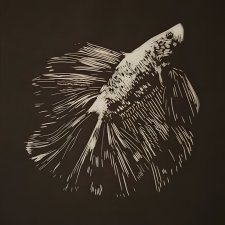 Bojownik Rybka - Linoryt, ilustracja, grafika, obrazek, obraz, sztuka, plakat, dekoracje